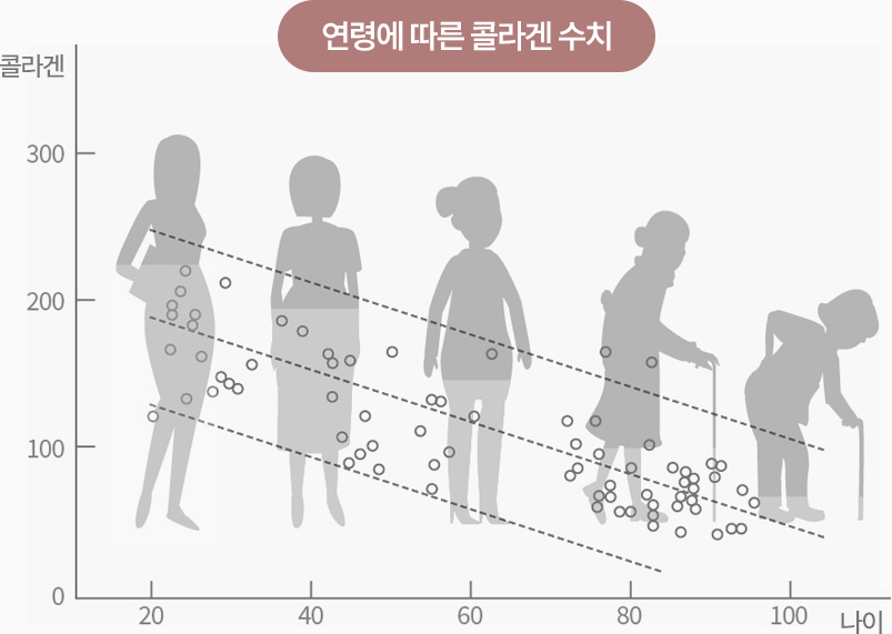 연령에 따른 콜라겐 수치