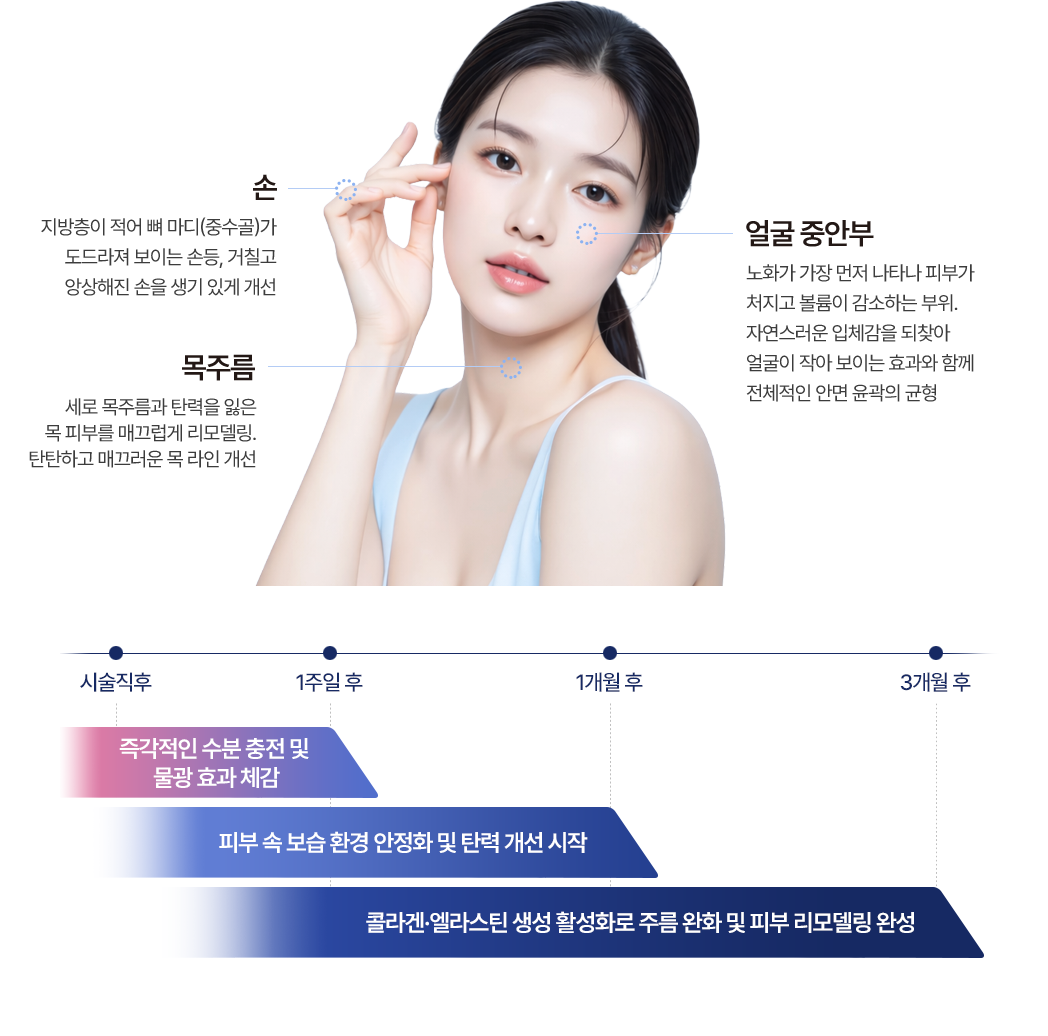 손 - 지방층이 적어 뼈 마디(중수골)가 도드라져 보이는 손등, 거칠고 앙상해진 손을 생기 있게 개선 | 얼굴 중안부 - 노화가 가장 먼저 나타나 피부가 처지고 볼륨이 감소하는 부위. 자연스러운 입체감을 되찾아 얼굴이 작아 보이는 효과와 함께 전체적인 안면 윤곽의 균형 | 목주름 - 세로 목주름과 탄력을 잃은 목 피부를 매끄럽게 리모델링. 탄탄하고 매끄러운 목 라인 개선