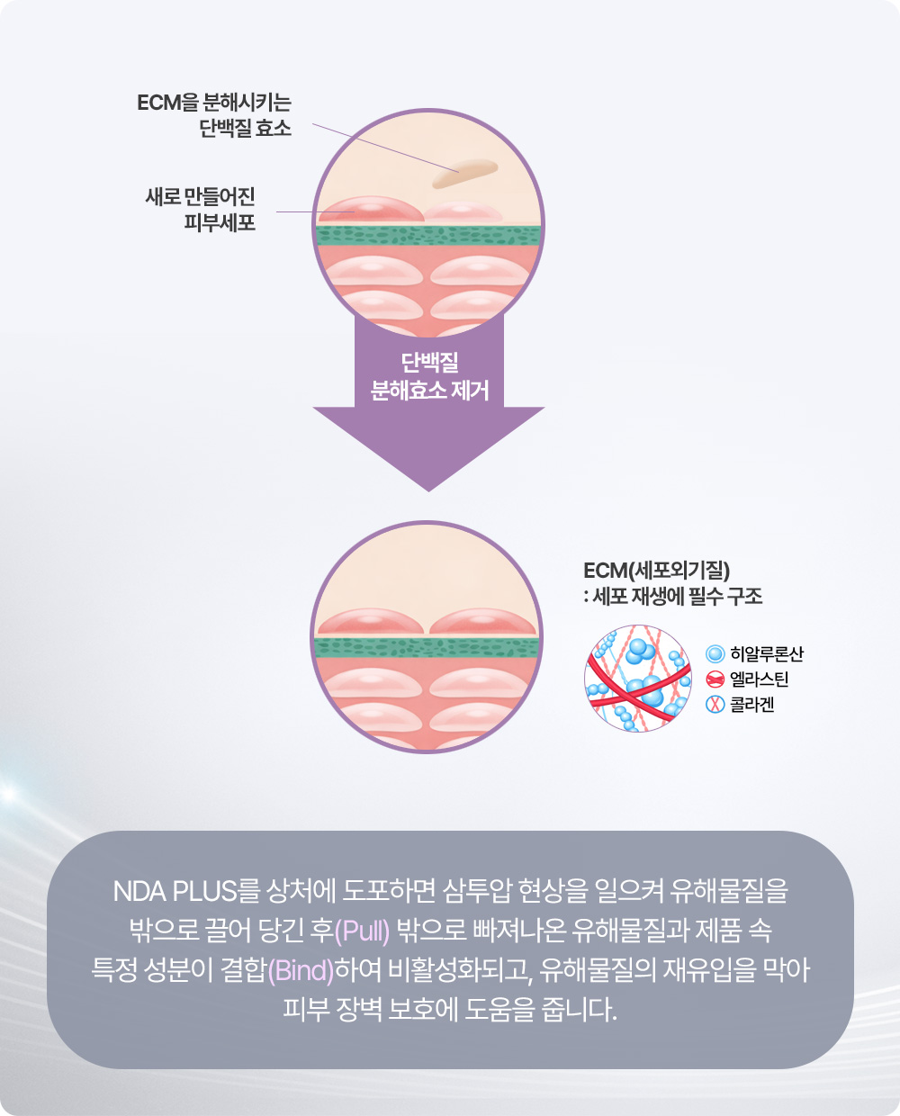 NDA PLUS를 상처에 도포하면 삼투압 현상을 일으켜 유해물질을 밖으로 끌어 당긴 후(Pull) 밖으로 빠져나온 유해물질과 제품 속 특정 성분이 결합(Bind)하여 비활성화되고, 유해물질의 재유입을 막아 피부 장벽 보호에 도움을 줍니다.