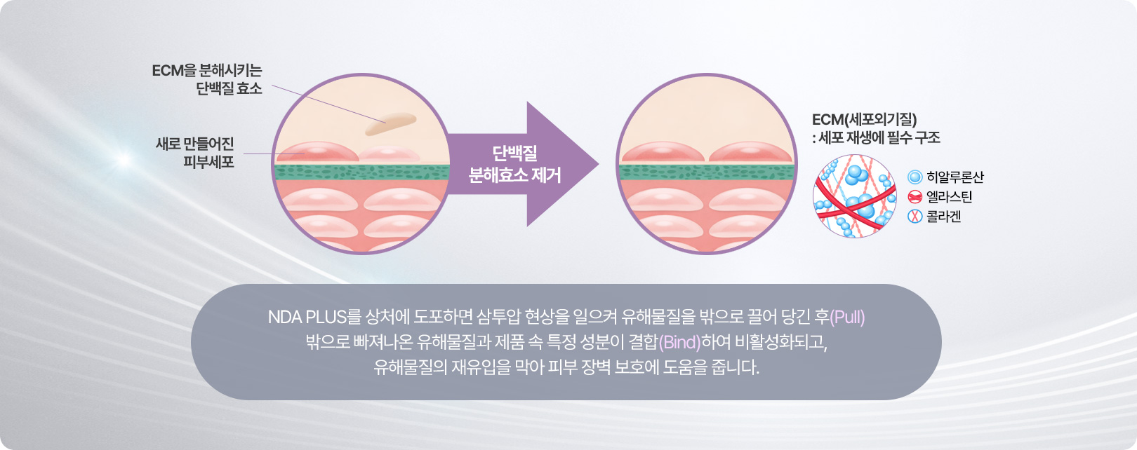 NDA PLUS를 상처에 도포하면 삼투압 현상을 일으켜 유해물질을 밖으로 끌어 당긴 후(Pull) 밖으로 빠져나온 유해물질과 제품 속 특정 성분이 결합(Bind)하여 비활성화되고, 유해물질의 재유입을 막아 피부 장벽 보호에 도움을 줍니다.
